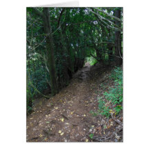 Hawaiian Hiking Trail Cards