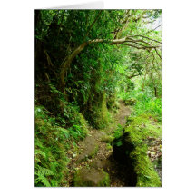 Hawaiian Hiking Trail Cards
