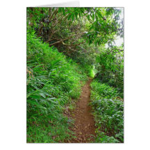 Hawaiian Hiking Trail Cards