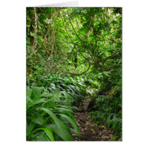 Hawaiian Hiking Trail Cards