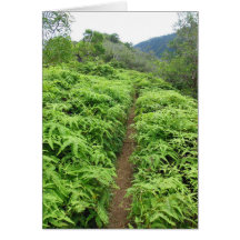 Hawaiian Hiking Trail Cards