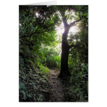 Hawaiian Hiking Trail Greeting Card