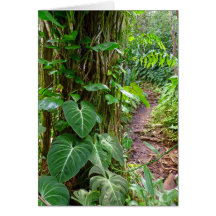 Hawaiian Hiking Trail Greeting Card