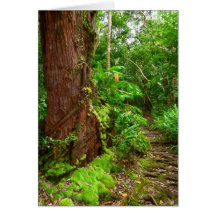Hawaiian Hiking Trail Greeting Card