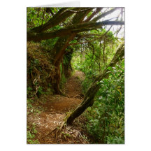 Hawaiian Hiking Trail Greeting Card