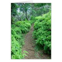 Hawaiian Hiking Trail Greeting Card