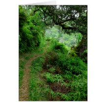Hawaiian Hiking Trail Greeting Card