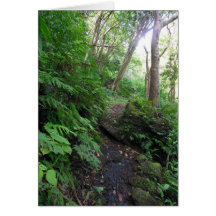 Hawaiian Hiking Trail Greeting Cards