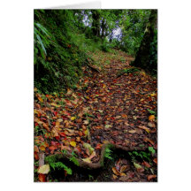 Hawaiian Hiking Trail Greeting Cards