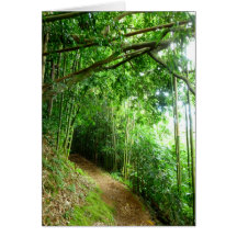 Hawaiian Hiking Trail Greeting Cards