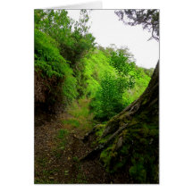 Hawaiian Hiking Trail Greeting Cards