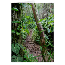 Hawaiian Hiking Trail Greeting Cards