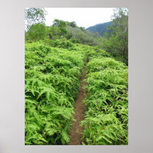 Hawaiian Hiking Trail Poster