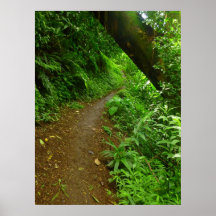 Hawaiian Hiking Trail Poster