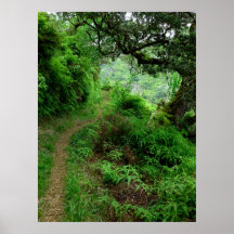 Hawaiian Hiking Trail Poster