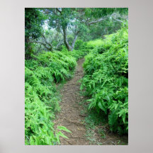 Hawaiian Hiking Trail Posters