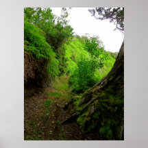 Hawaiian Hiking Trail Print