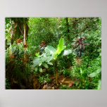Hawaiian Jungle Posters