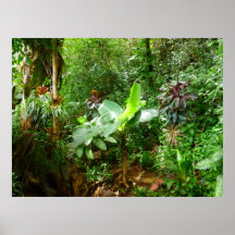 Hawaiian Jungle Posters