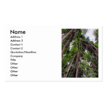 Hawaiian Jungle Vines Business Card