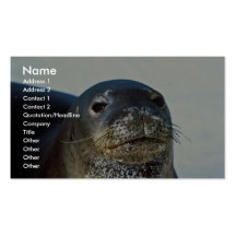 Hawaiian Monk Seal Business Card