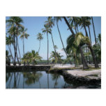 Hawaiian Oasis Post Card
