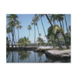 Hawaiian Oasis Post Card