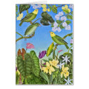 Hawaiian O'u bird cards