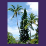 Hawaiian Palms Poster posters