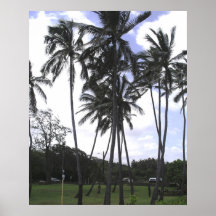 Hawaiian Palms Print
