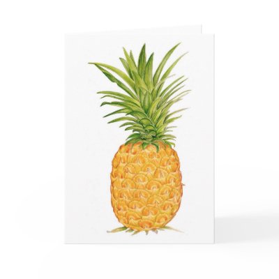 Hawaiian Pineapple Cards by joeyartist