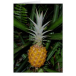 Hawaiian Pineapple Card
