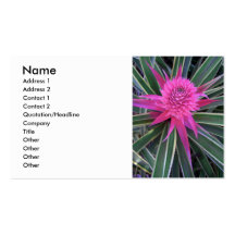 Hawaiian Pink Pineapple Business Card Templates