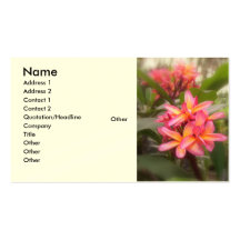 Hawaiian Plumeria Business Card Template