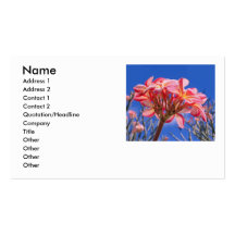 Hawaiian Plumeria Business Card Template