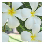 Hawaiian Plumeria Wedding Invitation