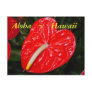 Hawaiian Red Anthurium Flowers Post Card