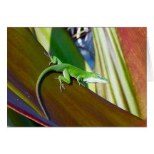 Hawaiian Reptile in Sunshine Cards