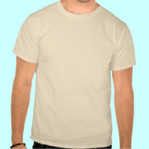 Hawaiian Sea Turtles t-shirts