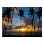 Hawaiian Sunrise Postcard
