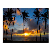 Hawaiian Sunrise Postcard