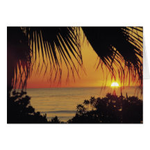 Hawaiian Sunset Card