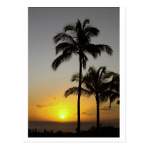 Hawaiian Sunset Postcard