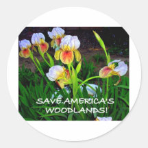 HAWAIIAN TALKING IRISES 2 ROUND STICKER