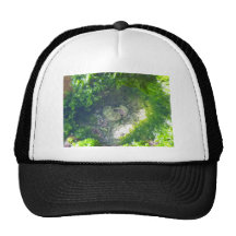 Hawaiian Tidepool Trucker Hat