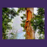 Hawaiian Trees Poster posters
