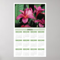 Hawaiian Tropical Plumeria 2011 Calendar Poster