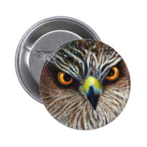 Hawk Eyes Button