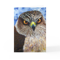 Hawk Eyes Greeting Card
