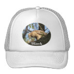 Hawk Hat